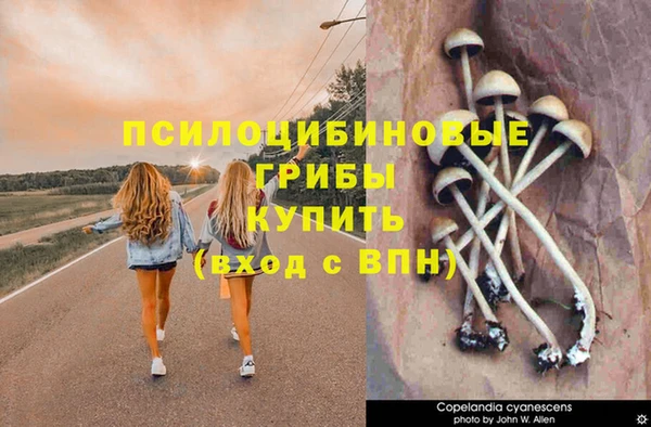 прущие крисы Алзамай