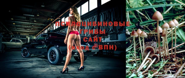 соль ск Алексеевка