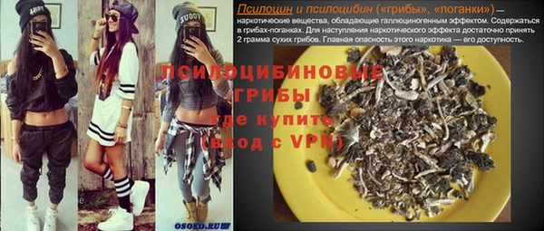 прущие крисы Алзамай