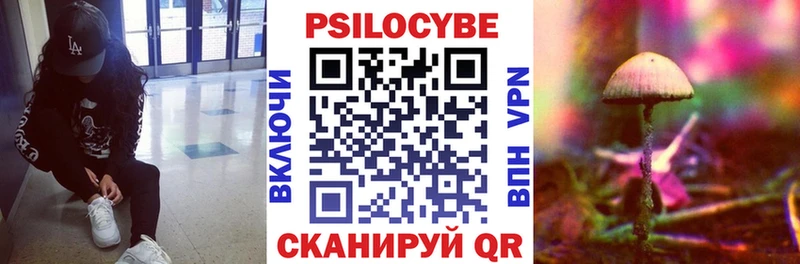 Псилоцибиновые грибы ЛСД  где продают   гидра ссылка  Удачный 